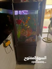  4 حوض سمك امريكي معدل حجم كبير
