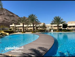  10 Fully furnished Studio for sale in raha village Aqaba