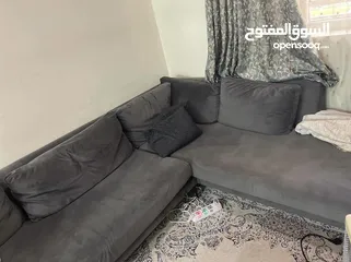  4 تخم امريكي