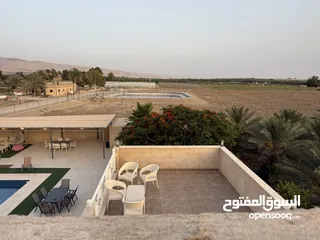  29 مزرعة نخيل مجهول + شاليه مودرن للبيع