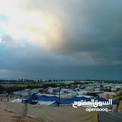  1 صور للبيع من غزة