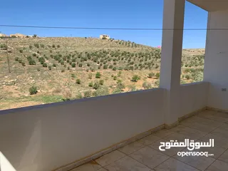  15 منزل ومزرعة للبيع في منطقة المريجمة-مادبا