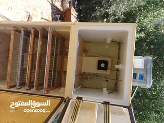  1 فقاسة 550 بيضة دجاج و 2500 بيضة فر نسبة نجاح 90+%