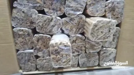  3 قرفة سيلانية نخب اول