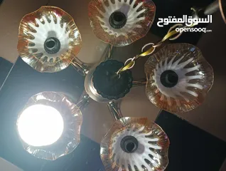  6 ثريا وكالة حلوة ومرتبة