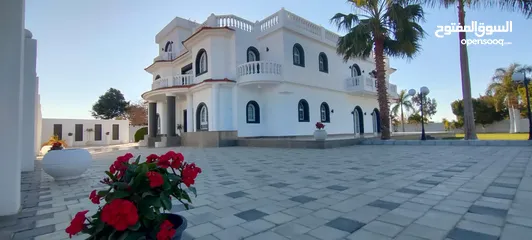  1 القصر الملكي في الشيخ زايد