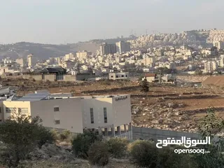  2 قطعة ارض في مرج الغزلان