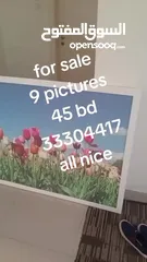  10 مجموعه صور احجام مختلفه