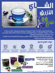  5 شتلات الشاي الازرق و البذور و الزهور(( إقرأ الوصف ))