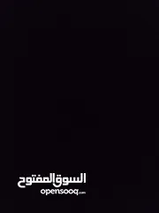  12 هي لعبة محاكي السيارات في العالم الافتراضي اسمها The crew Motor Fest ويوجد  سباقات وسيارت مختلفه