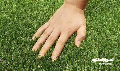  5 عشب صناعي...عالي الجودة بأقل الاسعار