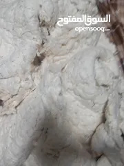  11 قطن و بوليستر جديد