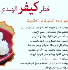  8 Kefir grains فطر الهندي حي و لبن الكفير بسعر مغري للبيع!