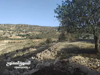  3 ارض بالعالوك مساحة 3 دونم و 400 متر في اجمل مناطق المحمر  للمهتمين : الاتصال على الارقام يلي بالوصف
