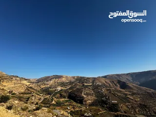 10 مزرعة مميزة في   البحاث و وادي الشتاء السياحي على اعلى قمة و مخدومة بالكامل ومروية من نبع البحاث