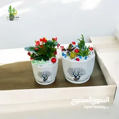  8 توزيعات للمناسبات والهدايا  وقواوير زينة داخل المنزل