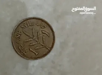  8 عملات قديمه من فئه لجنيه الاسرائيلي وليره السرائيليه وفئه الشيكل وعملاد معدنيه فلسطينيه