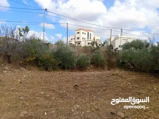  1 ارض 600 متر صافي شوارع. مزروعة . اسوار من واجهتين. جاهزة للبناء و مستوية من المالك مباشرة