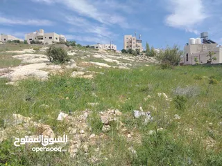  8 دنم و 44 م مقابل مضافة الدرادكة دنم ب القمة عالي