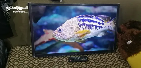  26 Samsung 32 inches smart led as new plastic not removed yet