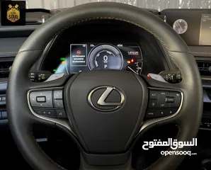  14 Lexus UX 300e 2022