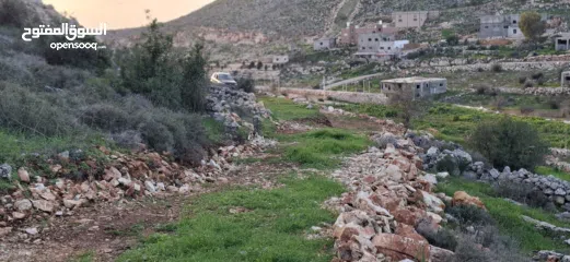  8 800متر طابوا فلسطيني في اجمل موقع بالكفريات واطلالة مميزةمنطقة( b)صالحة للبناء