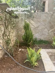  4 شقة ارضية للبيع