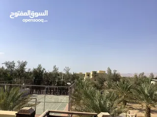  7 مزرعة في البحر الميت/ الشونه الجنوبية / السويمه / حوض جلد مميزة للبيع للجادين فقط