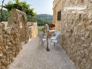  11 مزرعه للبيع في عجلون شمال شرق القلعه طريق مار الياس