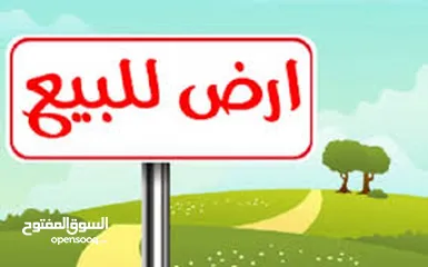  2 قطعة ارض للبيع في النجيبية