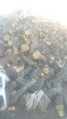  3 بيع جميع انواع الشجر وحطب المواقد والصوبات