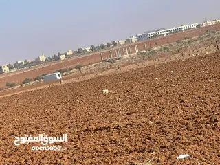  5 اربد قرب جسر النعيمة ارض للبيع زراعية استثمارية مساحة اربعة دونم مفروزة قوشان مستقل حوض مرج الوقفي ‎