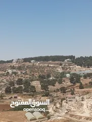 11 5300م حوض الروضه حوض المصدار بسعر لقطه طاله على سيل حسبان