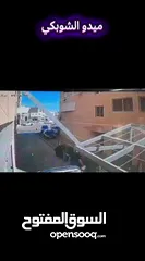  2 ببغاء كاسكو مفقود