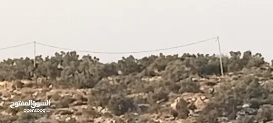  6 أرض مميزة للأستثمار