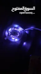  2 حبل LED للبيع