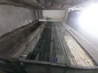  4 رفوف حديد وكالة للبيع خاصة للزراعة و تربية الحيوانات و الرجاء التواصل على الواتس اب