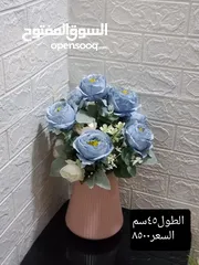  1 روز باتيلز