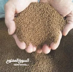  17 اعلاف أسماك ALFA-MIX FISH FEED