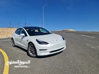  2 2021 Tesla Model 3 Stander  plus