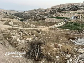  7 ارض في دورا منطقة الصرة تصنيف A طابو