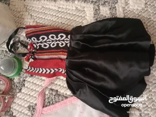  15 قط ذكر بعمر 6اشهر شيرازي وقطة انثى بعمر سنة شيرازي وايضاً حامل