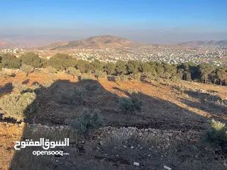  21 فيلا فاخرة على أرض 2000م تصنيف أ A, طابو – زاوية شارعين + مجلس ضيوف مستقل في طوباس