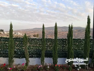  15 مزرعه شاليه للايجار على طريق عمان جرش المصطبه تبعد عن صويلح وشارع الاردن وابو نصير 20 دقيقة