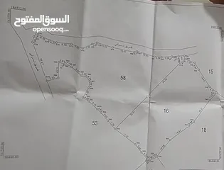  1 قطعة أرض خلة ام عيسى للبيع