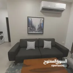  4 APARTMENT FOR RENT IN SAQIA FULLY FURNISHED 1BHK