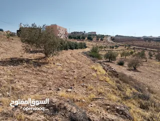  2 لقطة ؛ أرض زراعية مع غرفة على حدود الطفيلة والكرك ، تصلح للاستثمار كمزرعة سياحية أو منتجع سياحي