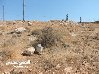  3 أجمل اطلالات جلعد-قوشان مستقل