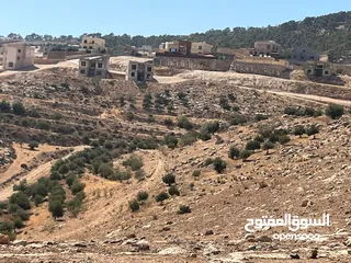  7 أرض 15دونم لبيع بسمر مغري خلف جامعة جرش وخلف مقام النبي هود في أشجار عمر 30سنه وبجانب شالات