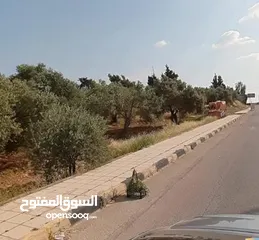  1 المغتربين والمستثمرين قطعة أرض بسعر مغري قرية القصفة على اربع شوارع من المالك مباشرة بدخل سنوي ممتاز
